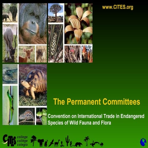 Permanent Committees