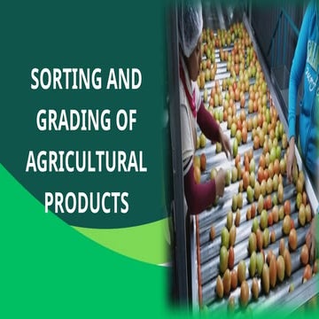 Sorting and Grading | PDF