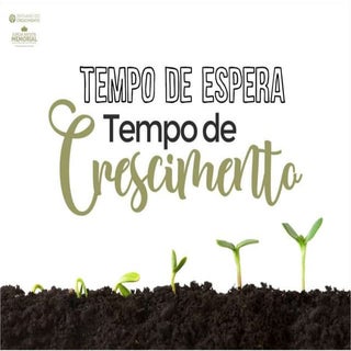 Tempo de Espera, Tempo de Crescimento