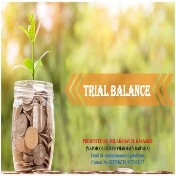 12 trial balance