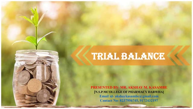 12 trial balance