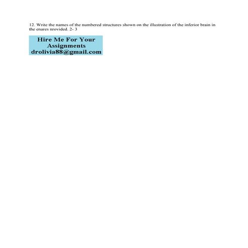 12- Write the names of the numbered structures shown on the illustrati.pdf
