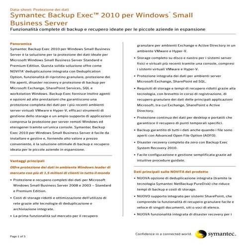 Symantec Backup Exec 2010 per Windows Small Business Server