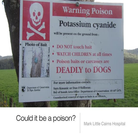 Could it be Poison? By Little