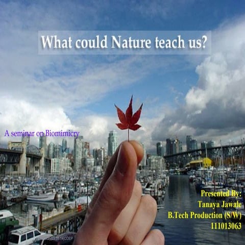 A Seminar on Biomimicry