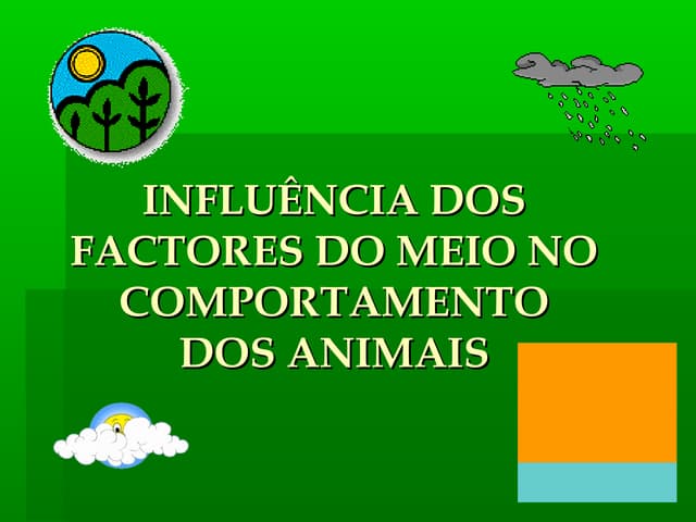 1201271912 influencia fact_meio