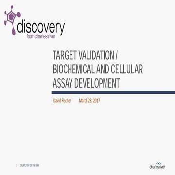 Target Validation / Biochemical and Cellular Assay Development 