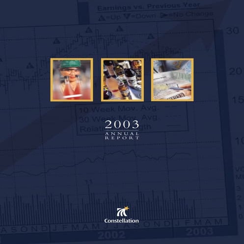 constellation annual reports 2003