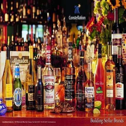 constellation annual reports 2001