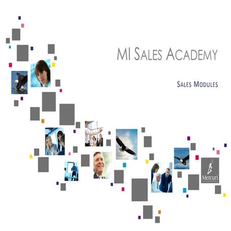 120228 Mi Sales Academy Synopses   Sales Modules