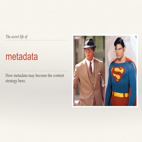 metadata And Its Types presentation.pptx