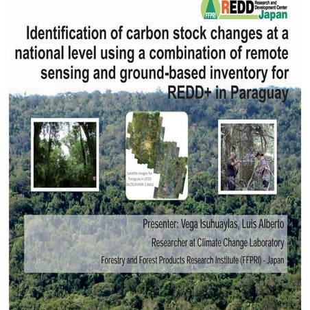 Identification of carbon stock changes at a national level using a combinatio...