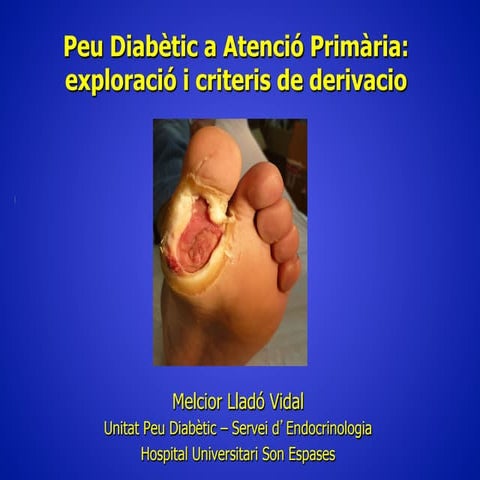 120425 pie diabético pdf