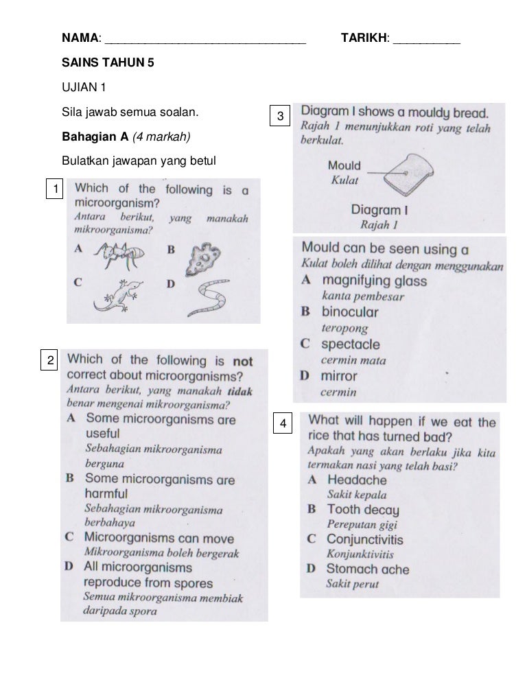 120572440 sainstahun5ujian1