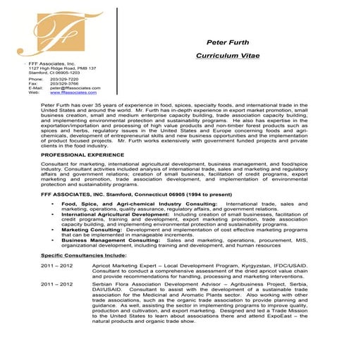 1206   CV - Peter Furth