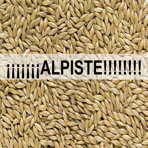 O poder do Alpiste