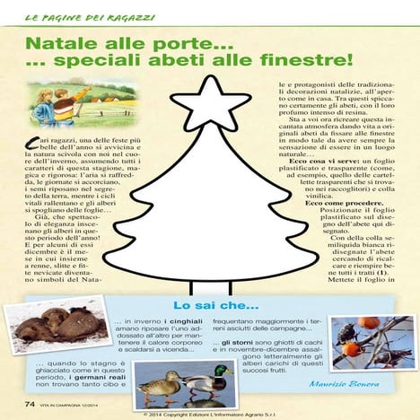 Natale alle porte...... speciali abeti alle finestre!