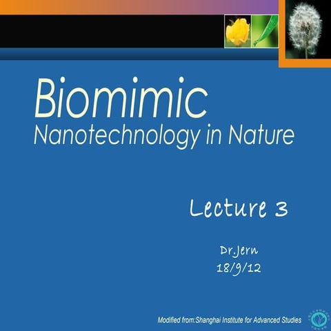 Nanotechnology 20120918 lecture 3   biomimic