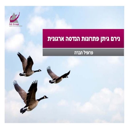 נירם גיתן פתרונות הנדסה ארגונית - פרופיל חברה