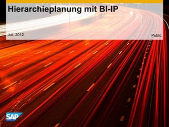 hierarchieplanung mit bi ip