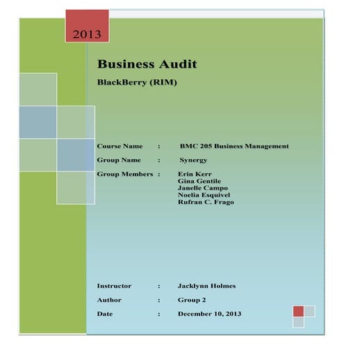 121013 Blackberry Business Audit (BMC 205 @ UofC)