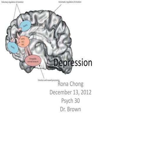 Underlying Mechanisms Behind Depression