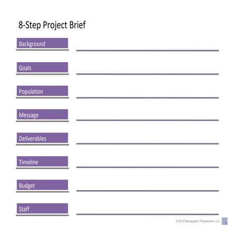Demographic Perspectives 8-step Project Brief | PDF