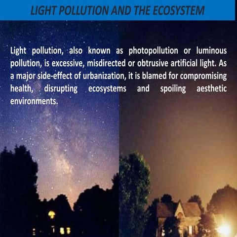 Light pollution ppt.pptx