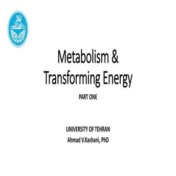 8 - Metabolism and Transfering Energy - Part One