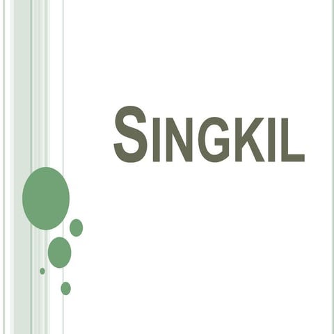 121319031-Singkil.pdf