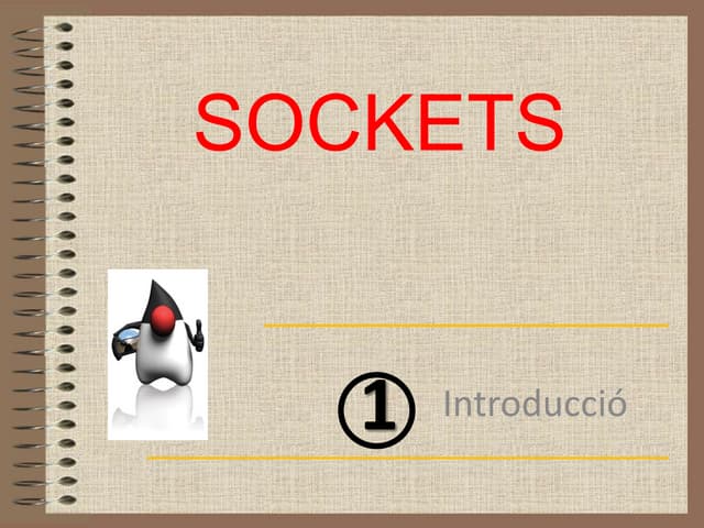 1213 Sockets [1] Introducció