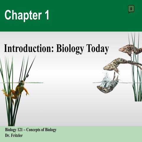 121 ch1 introduction