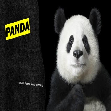 EL PANDA GIGANTE.pdf