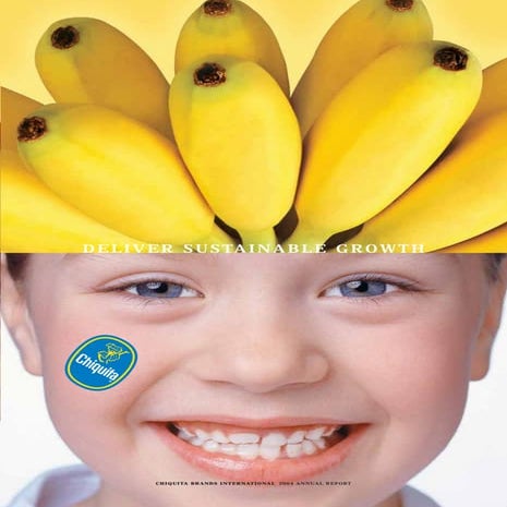 chiquita brands international 2004annual