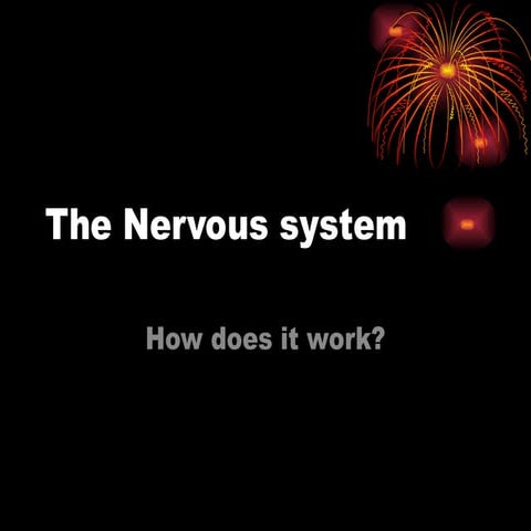 how does the-nervous-system-powerpoint.ppt