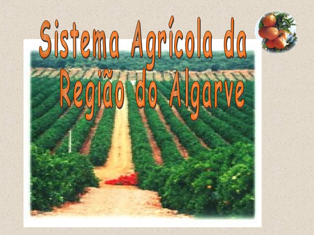 1228694024 diapositivos