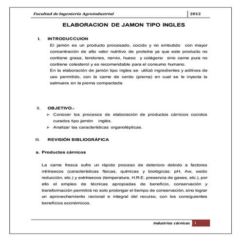 122898676 informe-de-industrias-carnicas-jamones
