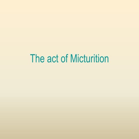  Physiology-of-micturition-reflex