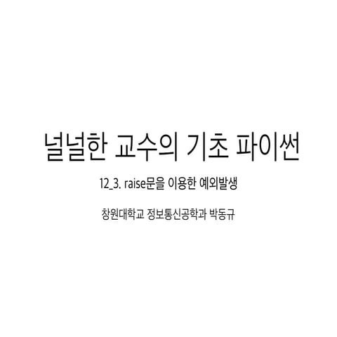 12 3 raise문