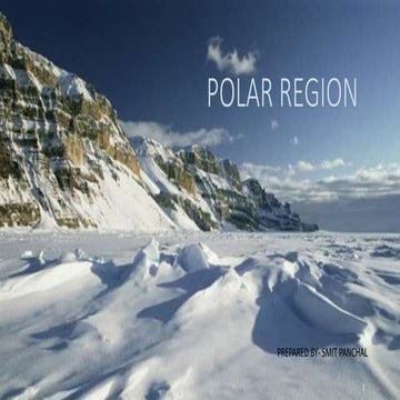 POLAR REGION