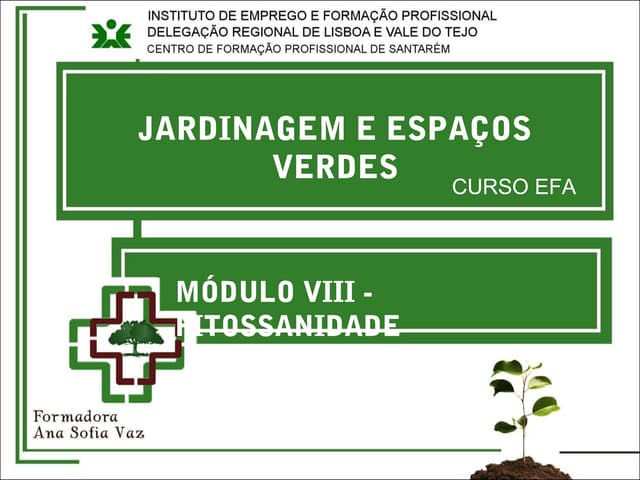 1235043384 produto fitormaceutico