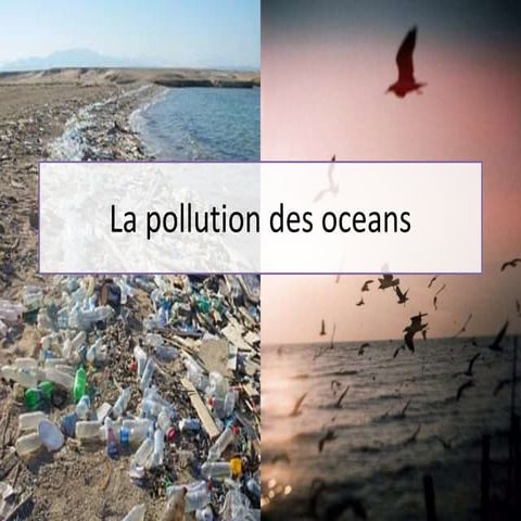 Comprendre et Prévenir la Pollution Marine : Causes, Conséquences et ...