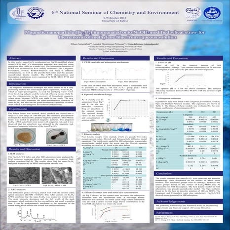 puster Magnetic nanoparticle