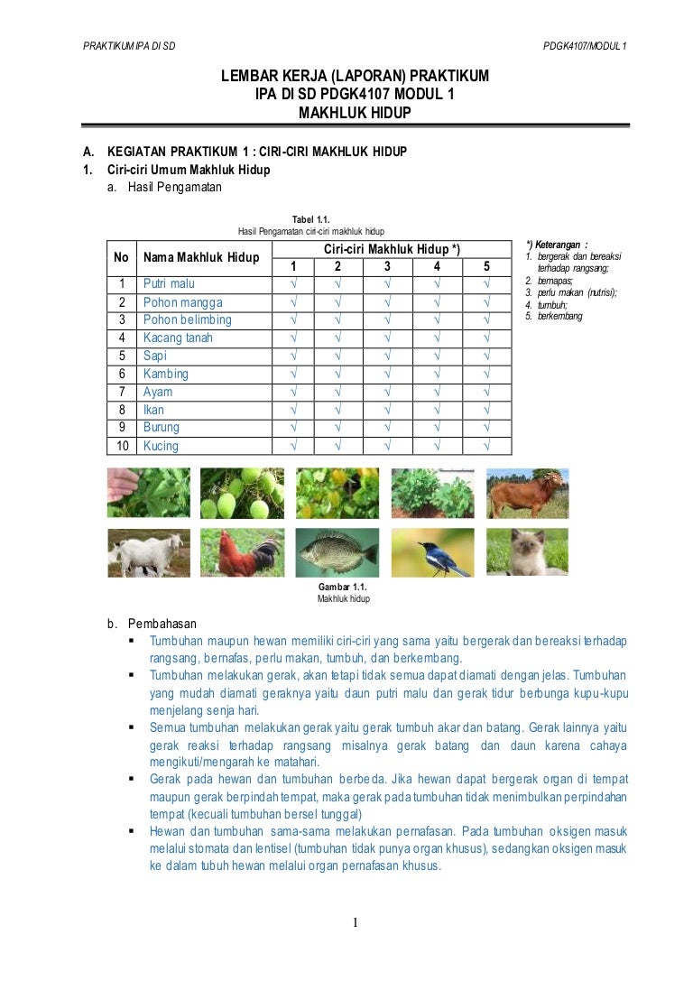 123dok Modul 1 Makhluk Hidup