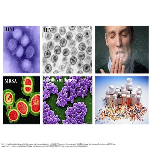 Bio-inspired therapeutics - Ravindra Kane