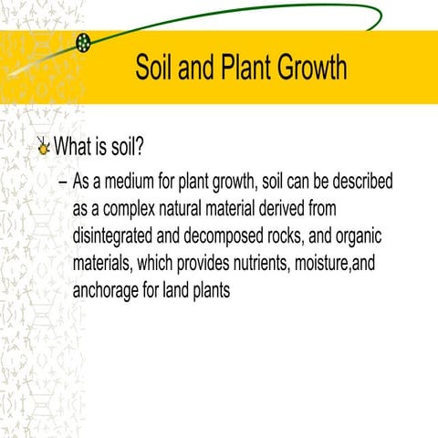 soil and plant growth       12423241.ppt