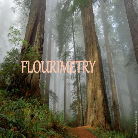 1250706_634570128835168750.ppt