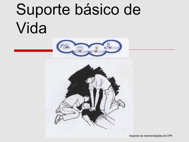 125838312 sbv