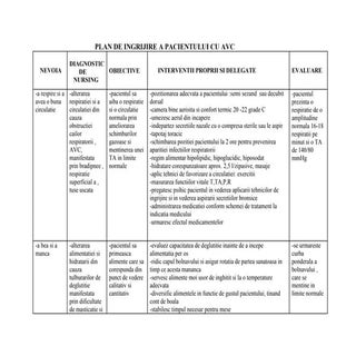 126156749 plan-de-ingrijire-a-pacie...