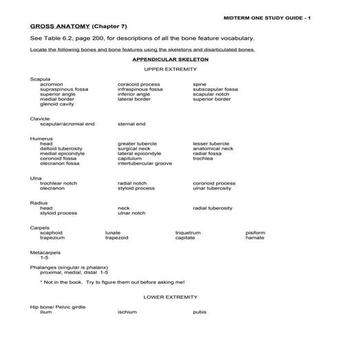 127166 gross-anatomy-guide